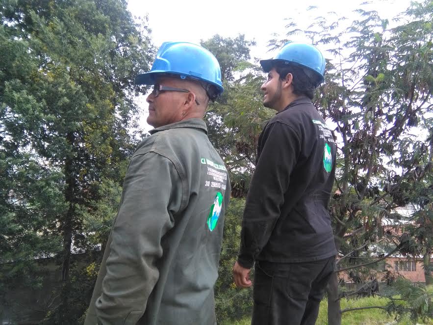 Requerimiento Ambiental